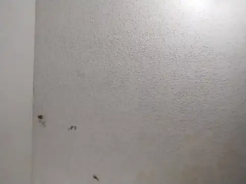 247Srokin online show from 1, 4, 2026