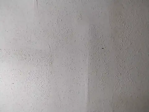 247Srokin online show from 13, 4, 2026