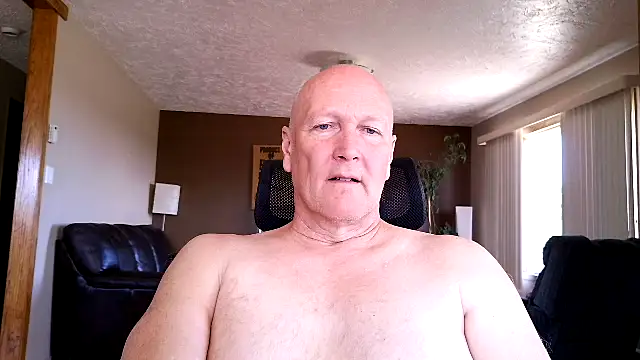 BasicAnt online show from 14, 4, 2026