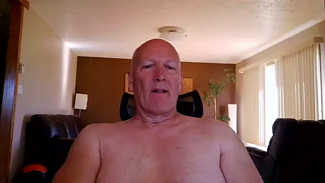 BasicAnt online show from 1, 6, 2026