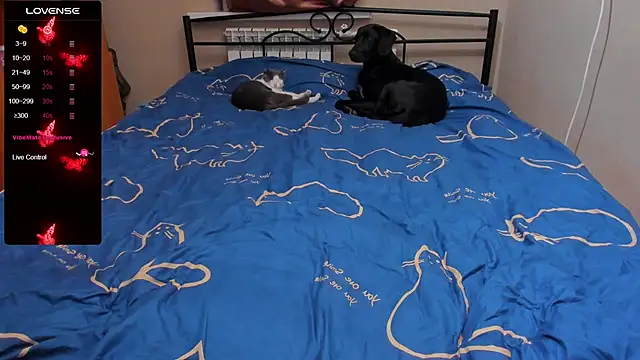 Snapshot of eva_zero chatting on 5, 10, 2025 eva zero online show from 5, 10, 2025