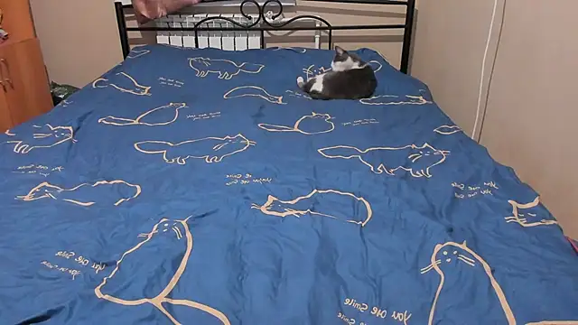 Snapshot of eva_zero chatting on 17, 12, 2025 eva zero online show from 17, 12, 2025