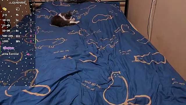 Snapshot of eva_zero chatting on 27, 2, 2026 eva zero online show from 27, 2, 2026