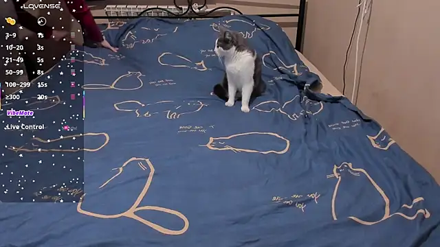 eva zero online show from 3, 3, 2026