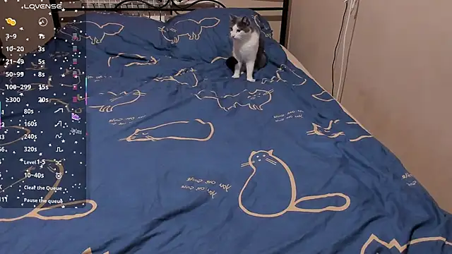 eva zero online show from 10, 3, 2026