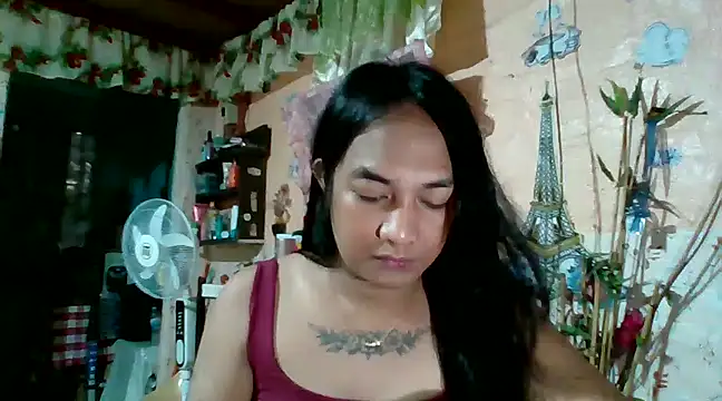 xxxstellastelarxxx online show from 31, 1, 2025