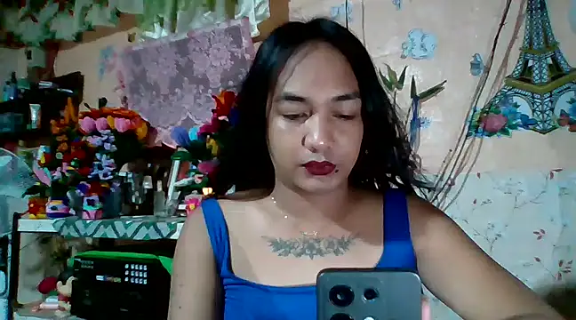 xxxstellastelarxxx online show from 11, 2, 2025