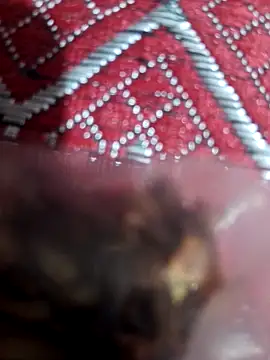 Snapshot of XBHUUME chatting on 1, 2, 2025 XBHUUME online show from 1, 2, 2025