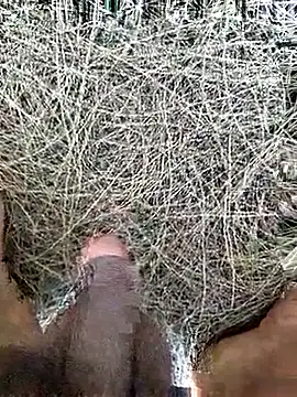 Gopal1243 online show from 19, 2, 2026