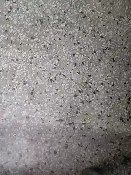 Snapshot of Rajibsorkar20 chatting on 16, 1, 2025 Rajibsorkar20 online show from 16, 1, 2025