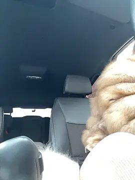 Snapshot of AngelinaMoore chatting on 14, 2, 2025 AngelinaMoore online show from 14, 2, 2025