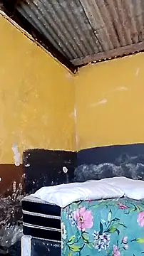 LULE37587001 online show from 6, 3, 2026