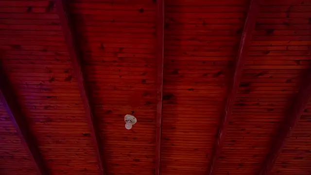 annie barozzi online show from 18, 10, 2025