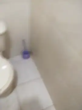 sagrado 1989 online show from 6, 2, 2026