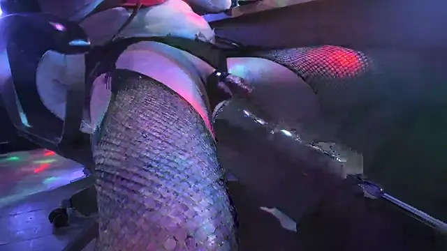 slankecrosdresser online show from 2, 11, 2025