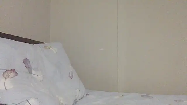 your andy online show from 19, 11, 2025