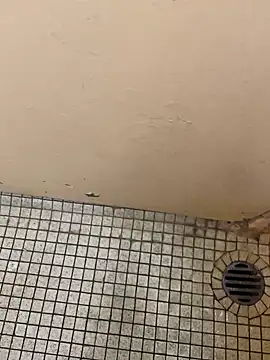 Snapshot of DreamerAsianGuy chatting on 25, 12, 2024 DreamerAsianGuy online show from 25, 12, 2024