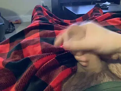 northcock87 online show from 24, 12, 2024