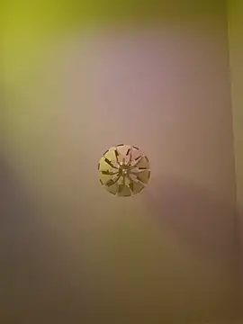 Snapshot of cuci45 chatting on 11, 10, 2025 cuci45 online show from 11, 10, 2025