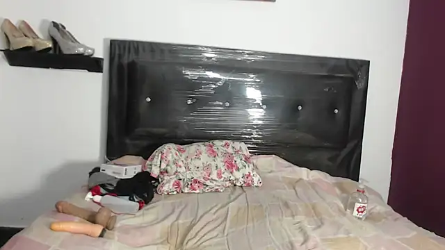 harley sweet-69 online show from 24, 1, 2025