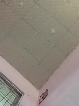 Hullax online show from 1, 11, 2025