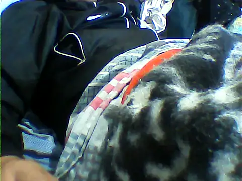 messi syssy online show from 25, 9, 2025