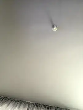 gabiTetas online show from 8, 9, 2025