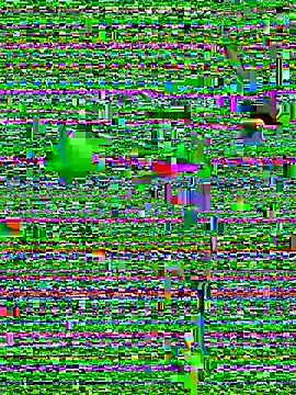 eva six online show from 20, 12, 2024