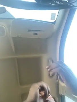 putograms online show from 18, 12, 2025