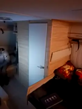 Snapshot of Ebinator666 chatting on 8, 11, 2025 Ebinator666 online show from 8, 11, 2025