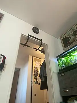 Toyjungee online show from 9, 3, 2025