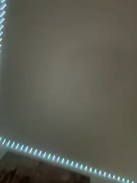 Toyjungee online show from 7, 10, 2025