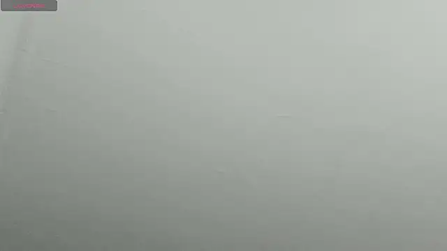 natasha logan  online show from 9, 2, 2025