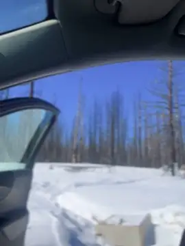 Snapshot of GoldenFlameGoddess chatting on 6, 3, 2025 GoldenFlameGoddess online show from 6, 3, 2025