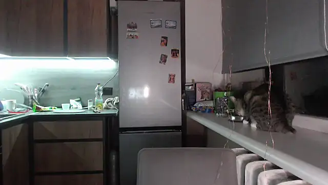 Snapshot of delightful_sofi chatting on 28, 9, 2025 delightful sofi online show from 28, 9, 2025