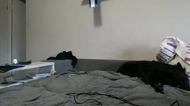 Snapshot of delightful_sofi chatting on 9, 10, 2025 delightful sofi online show from 9, 10, 2025