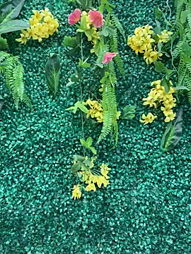 LiaVillalobos online show from 18, 4, 2026