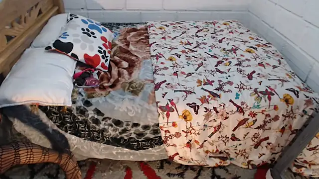 sexyjustin202 online show from 15, 12, 2025