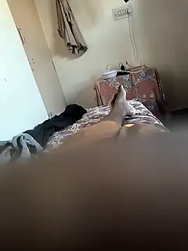 Mallupaiyanaachu online show from 5, 2, 2025