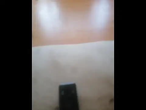 Happypotplants online show from 14, 12, 2025