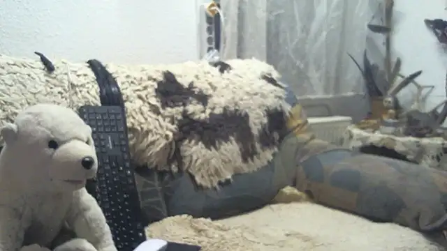 Snapshot of SexySantaC chatting on 16, 12, 2025 SexySantaC online show from 16, 12, 2025