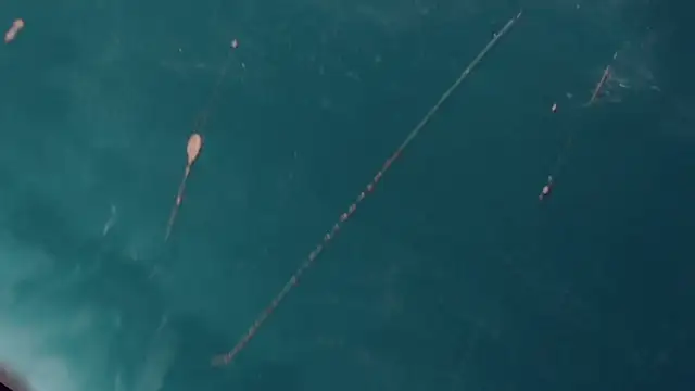 CharlotteBigCock online show from 12, 1, 2025