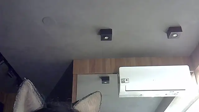 Skinny-Kitten online show from 13, 11, 2025