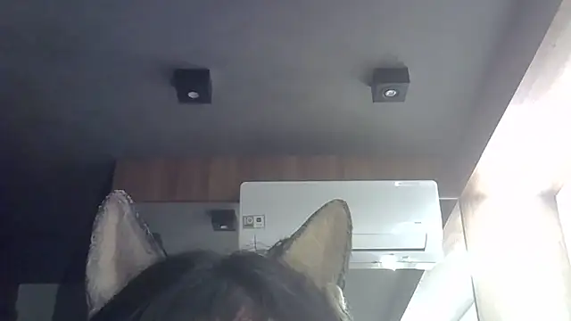 Skinny-Kitten online show from 11, 2, 2026