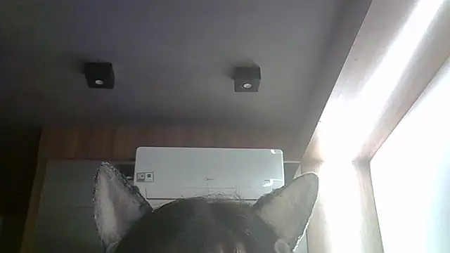 Skinny-Kitten online show from 27, 3, 2026