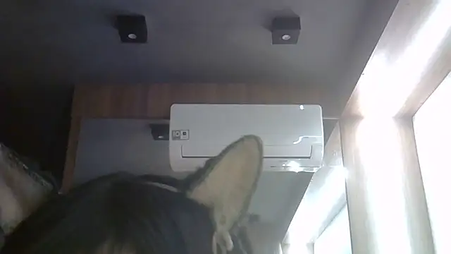 Snapshot of Skinny-Kitten chatting on 27, 6, 2026 Skinny-Kitten online show from 27, 6, 2026