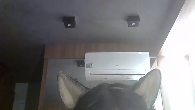 Snapshot of Skinny-Kitten chatting on 27, 6, 2026 Skinny-Kitten online show from 27, 6, 2026