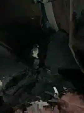 prekumstud online show from 20, 2, 2026