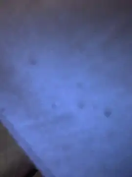 Snapshot of Adamvarga0318 chatting on 8, 2, 2025 Adamvarga0318 online show from 8, 2, 2025