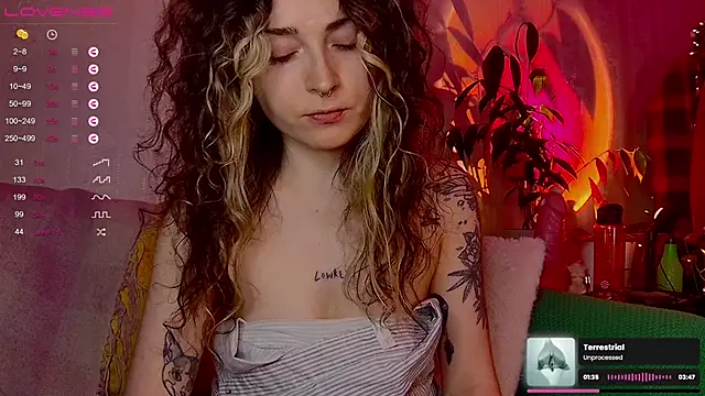 IttyKitty online show from 12, 2, 2026